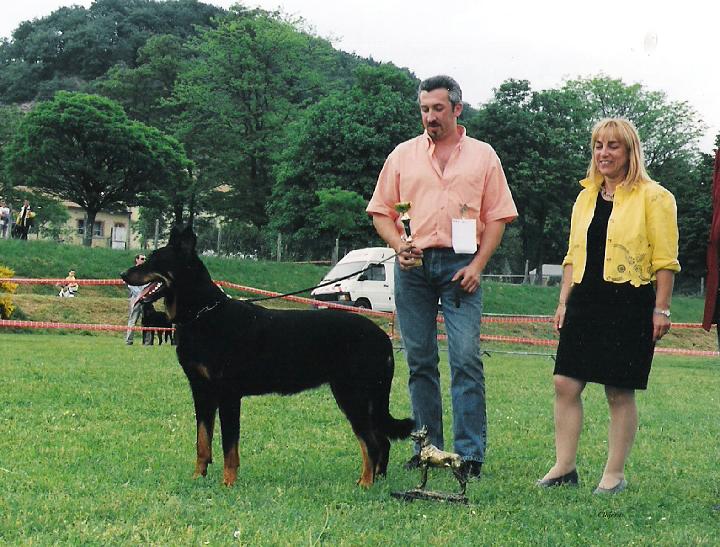 CH. Osiris Du relais des ecuries